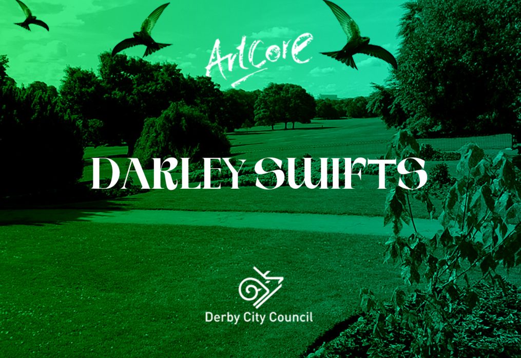 Darley Swifts