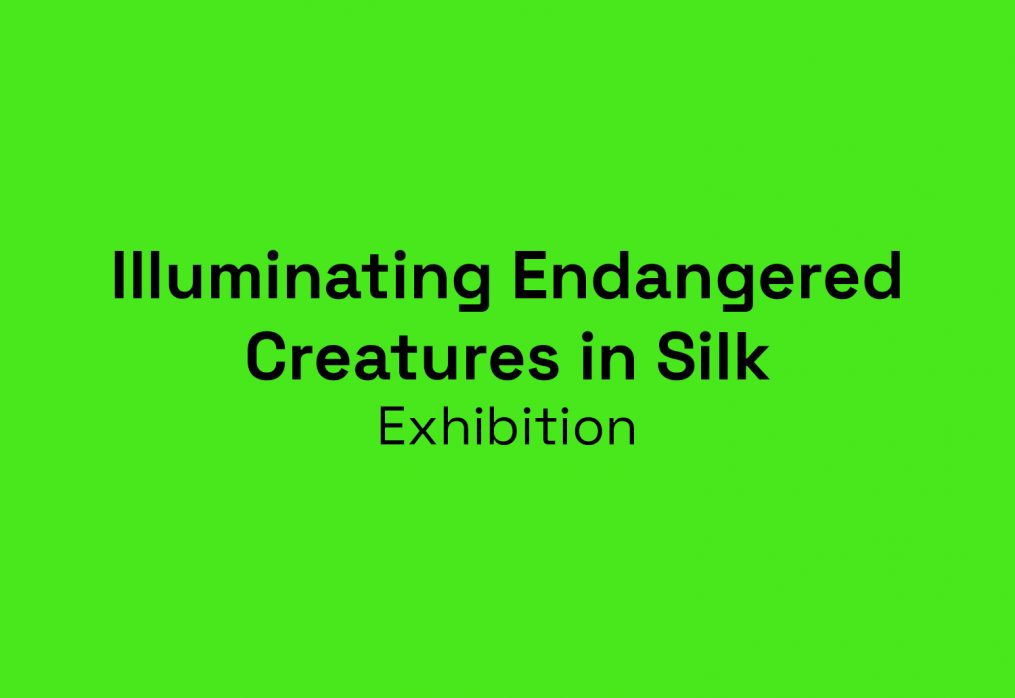 Illuminating Endangered Creatures in Silk